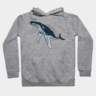 Humpback Whale Hoodie